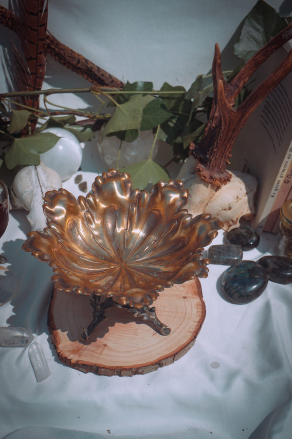 Coupe de Pan