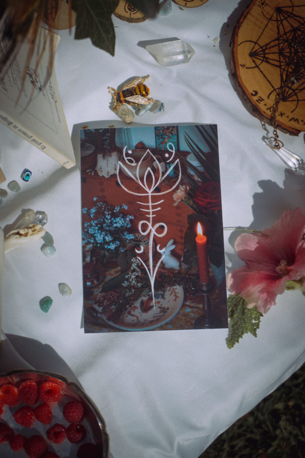 Lot 4 prints sigillaires A6 – Image 5