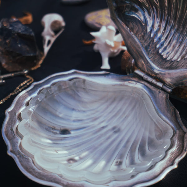 Boîte naissance de Vénus – Image 4