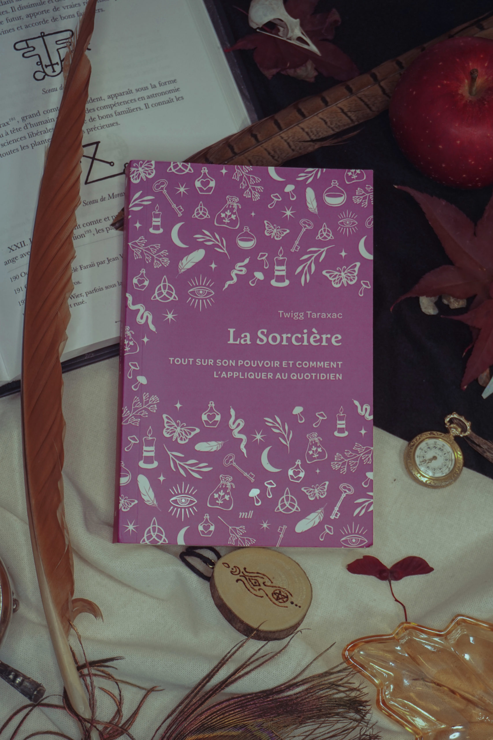 La sorcière - Livre de poche