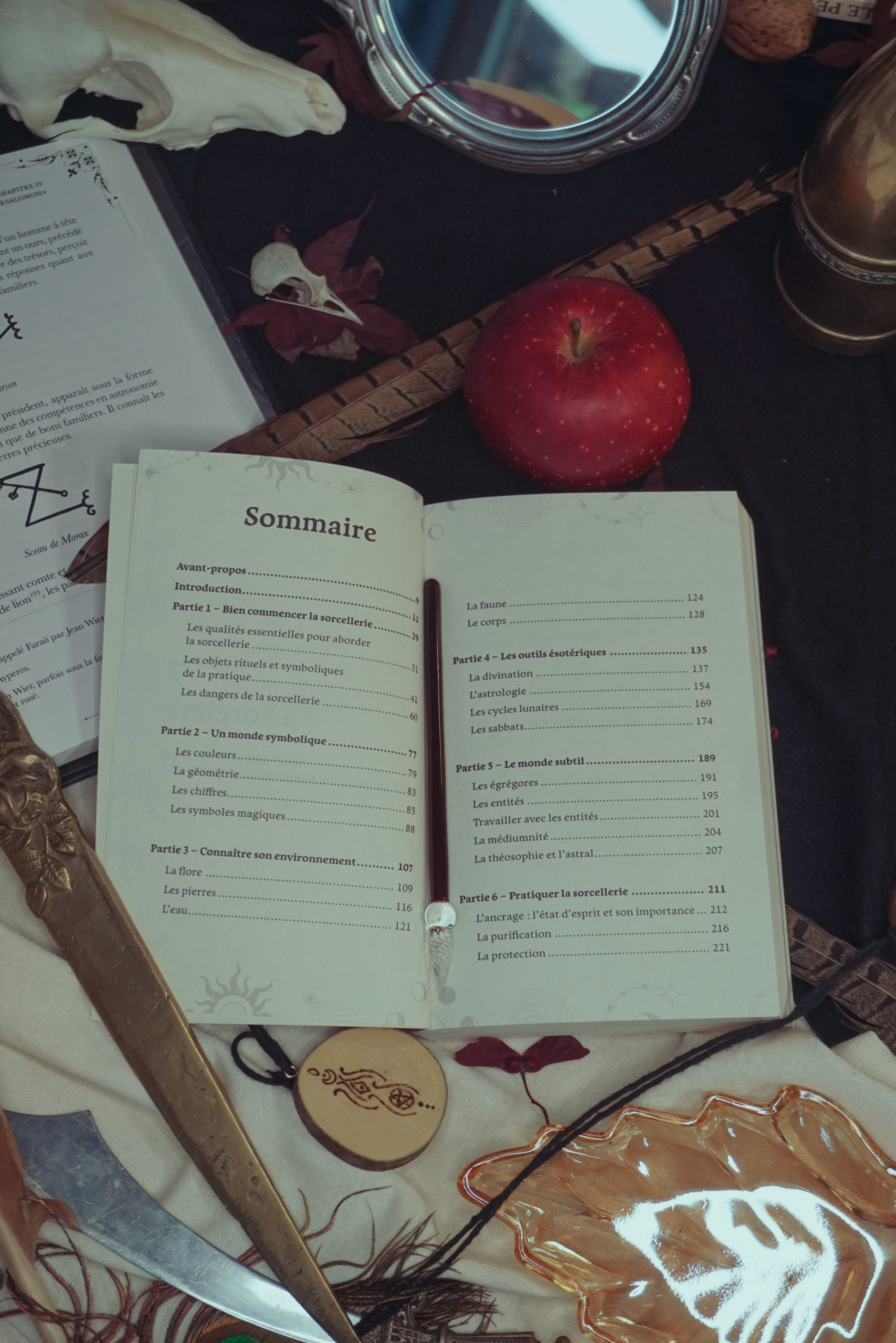 La sorcière - Livre de poche – Image 3