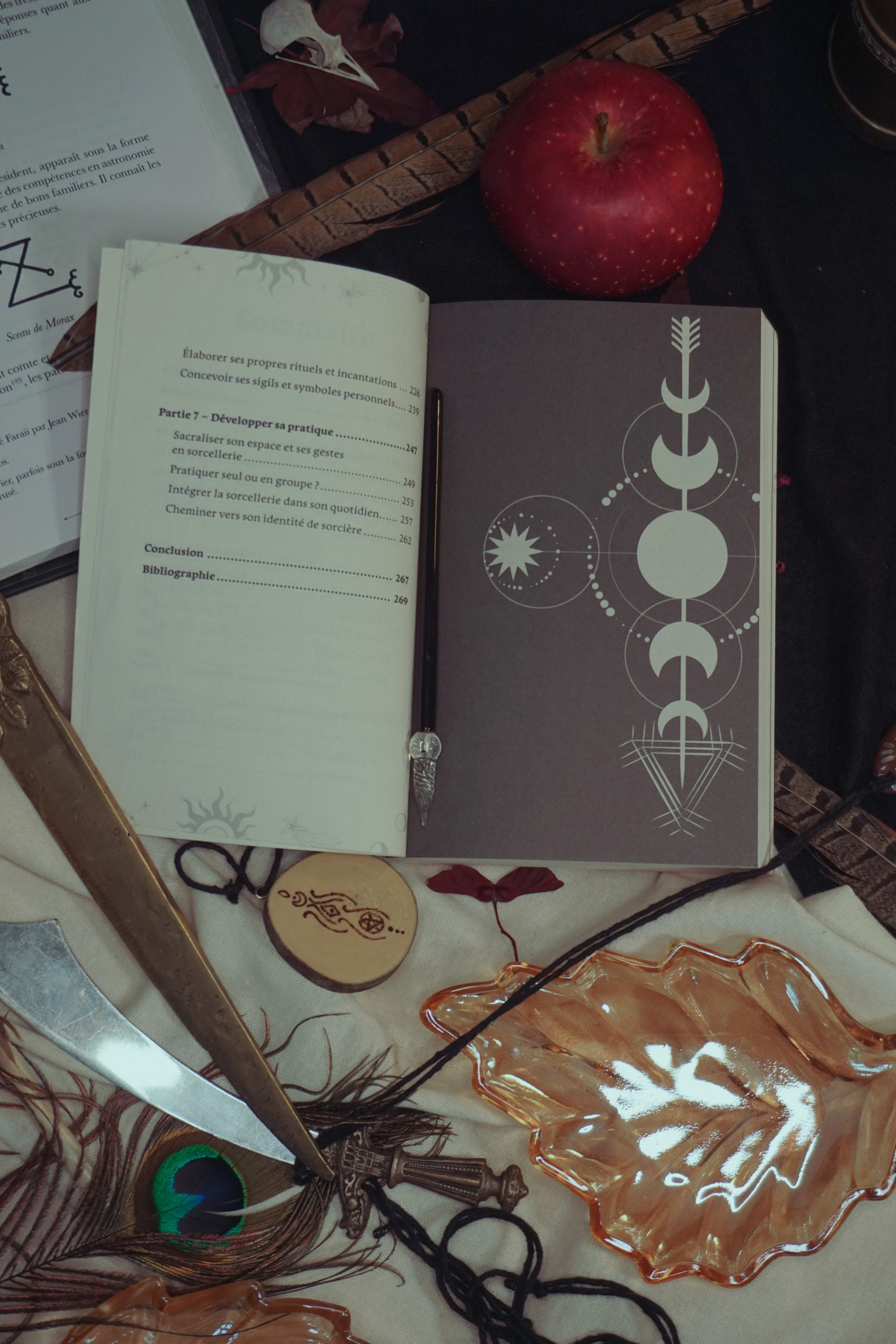 La sorcière - Livre de poche – Image 4