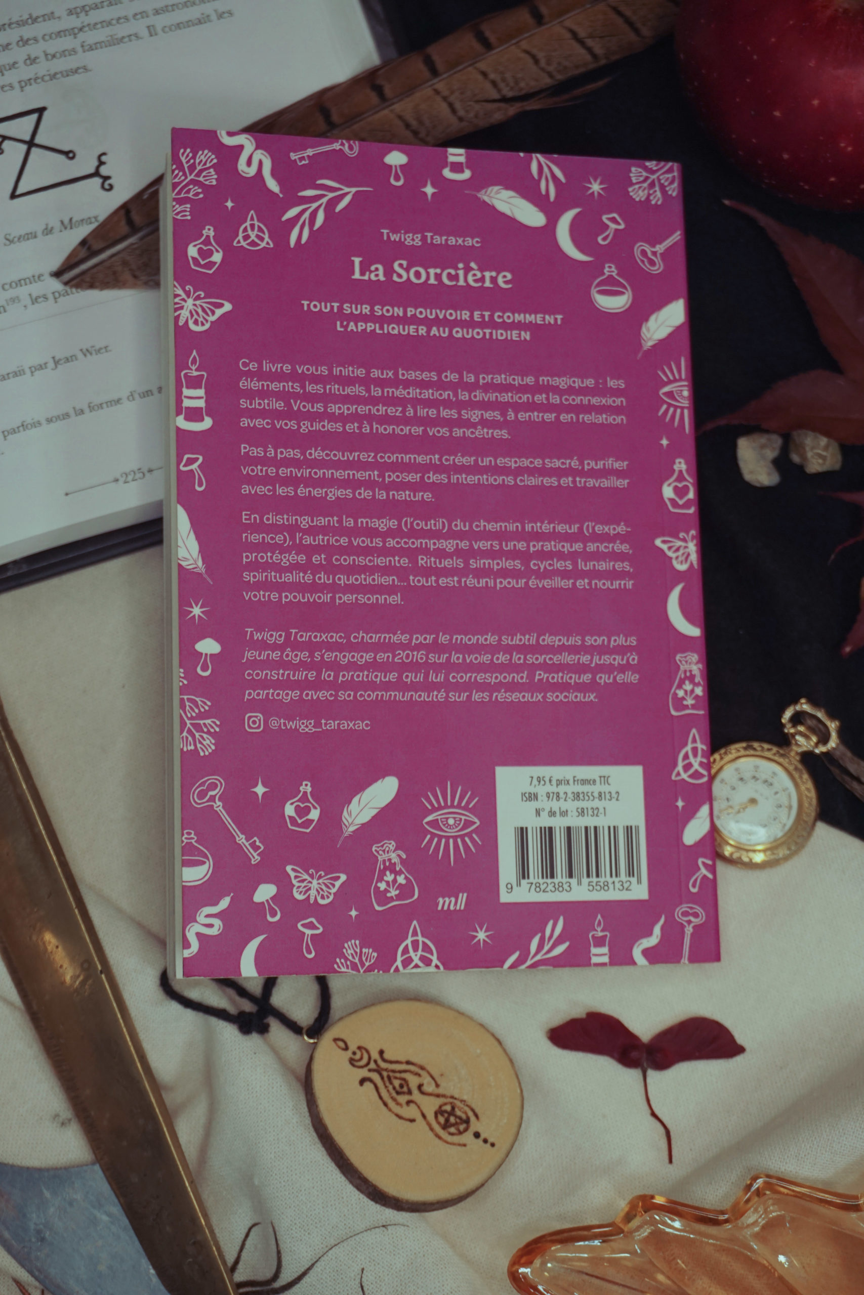 La sorcière - Livre de poche – Image 5