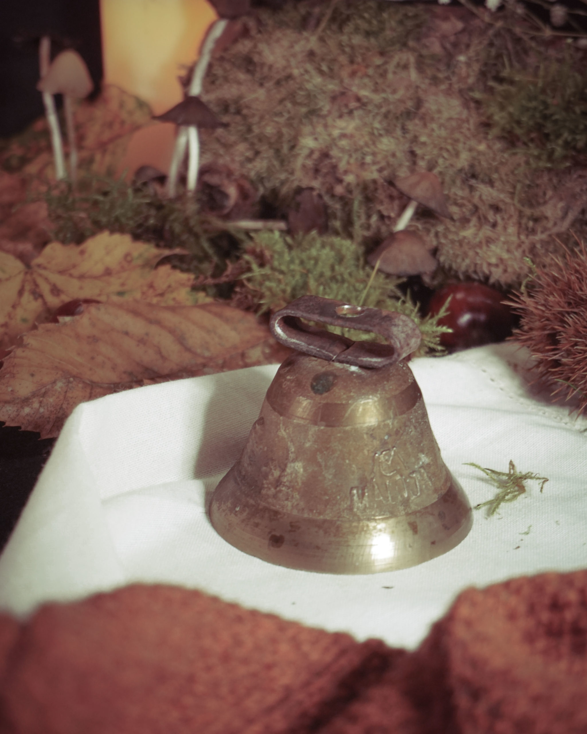 Cloche crépusculaire