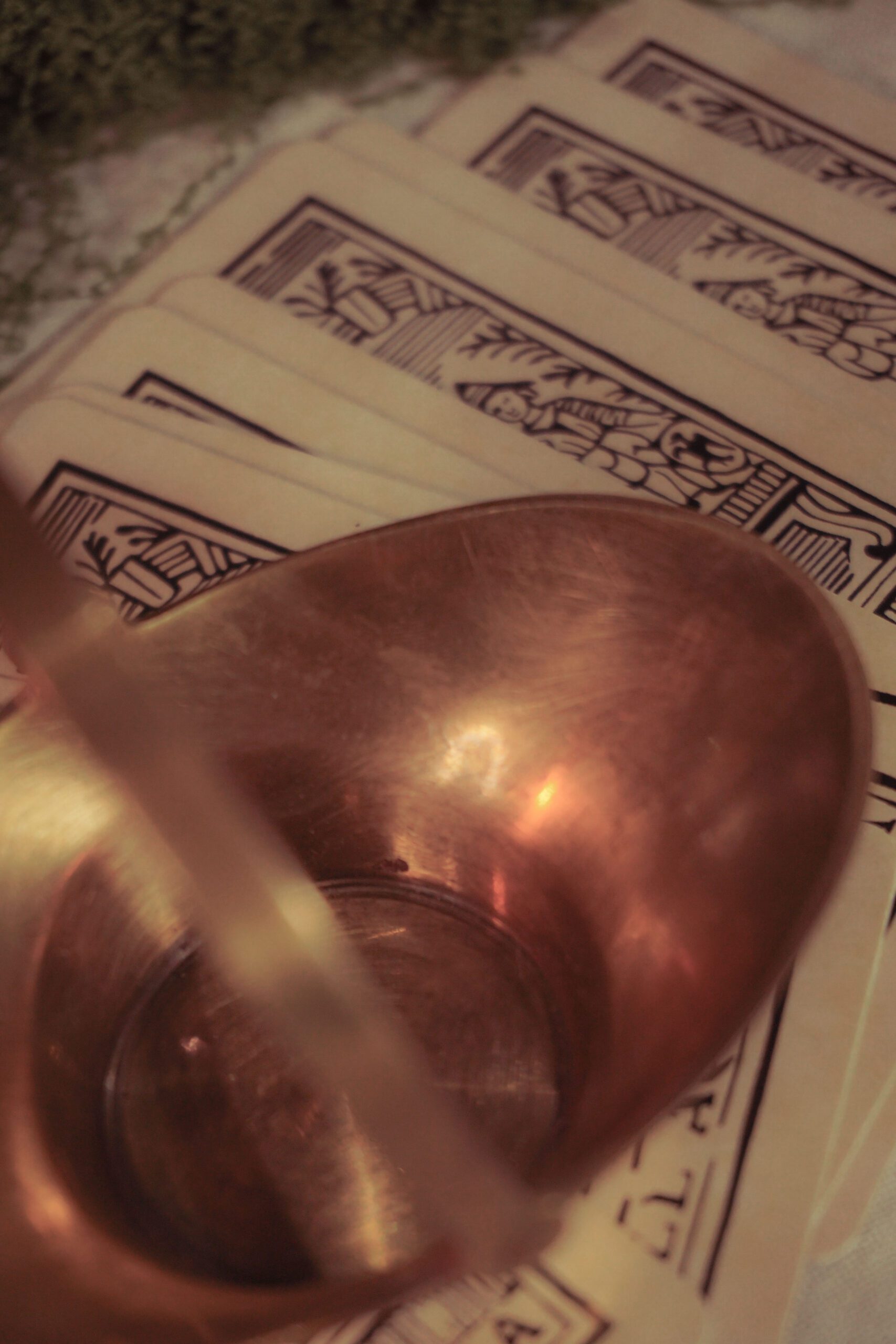 Panier solaire – Image 4