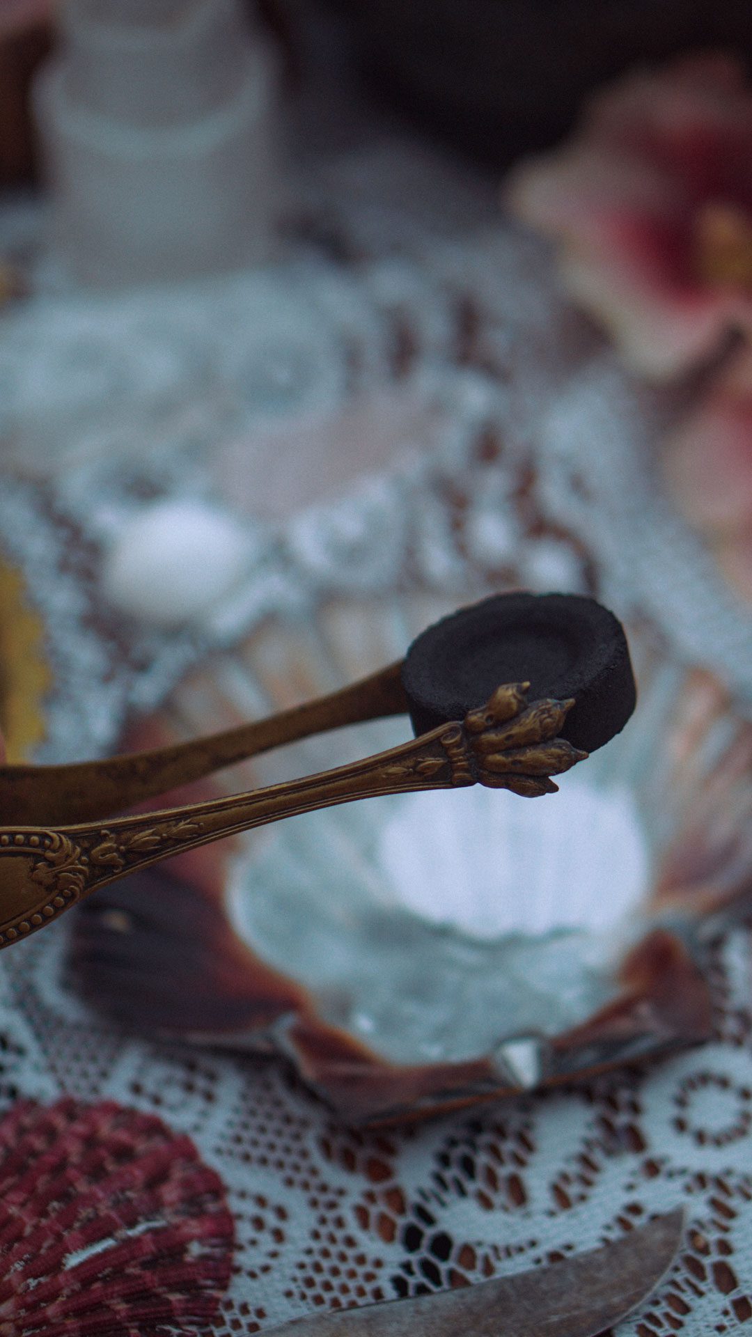 Pince à sucre des chimères – Image 6