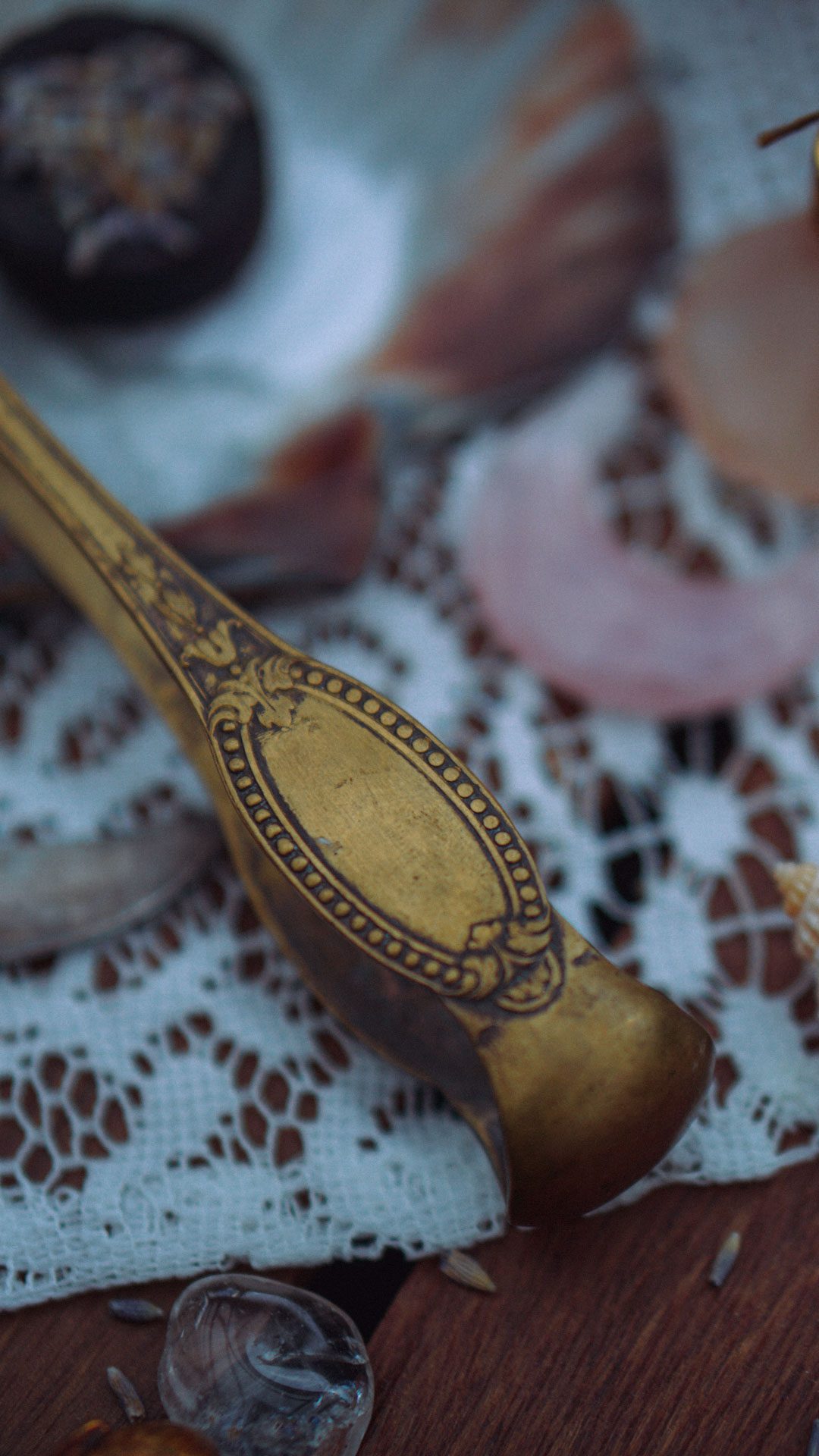 Pince à sucre des chimères – Image 3